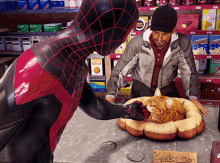 Spider Man Miles Morales GIF - Spider Man Miles Morales Pet Cat GIFs