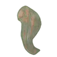 a child 's drawing of a leaf with a green border