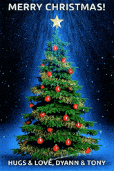 a christmas card with a christmas tree and the words merry christmas hugs & love dyann & tony