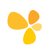 a yellow flower with four petals is against a white background