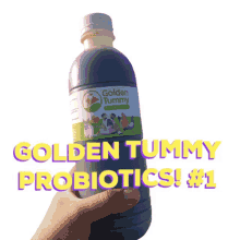 Golden Tummy Probiotics Gtp GIF