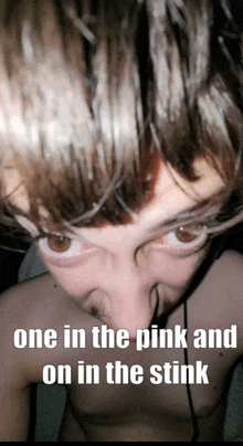 1 In The Stink 1 In The Pink GIF