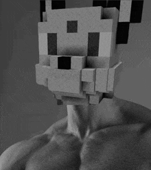 a black and white photo of a person with a pixelated face on their chest