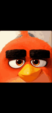 Angry Birds Deniseerdem GIF - Angry Birds Deniseerdem GIFs