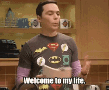 Welcome To My Life Life GIF - Welcome To My Life Life Sheldon GIFs