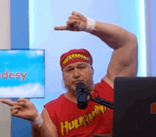 Dudesy Will Sasso GIF - Dudesy Will Sasso Hulk Hogan GIFs