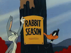bugs bunny and daffy duck wabbit season