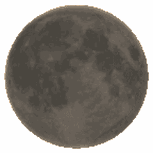 moon ciclo