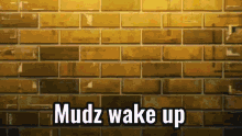 Mudz Mudz Wake Up GIF - Mudz Mudz Wake Up Mudz Gay GIFs