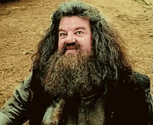hagrid what harry potter look proud