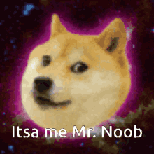 Mr Noobs Doggo GIF - Mr Noobs Doggo Its Me GIFs