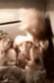 a blurry picture of a group of cats sitting next to each other on a table .