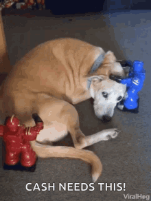 Robots Petting Dog Petting GIF - Robots Petting Dog Petting Head Scratch GIFs