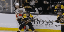 Brad Marchand Boston Bruins GIF - Brad Marchand Boston Bruins Comtois GIFs