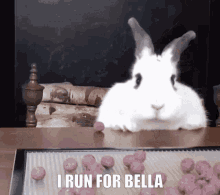 I Run For Bella Bella GIF - I Run For Bella Bella Badik GIFs