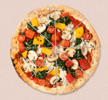 Vegan Veganz GIF - Vegan Veganz Vegan Pizza GIFs