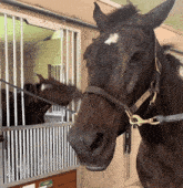a horse is standing in a stable with a sign that says stable