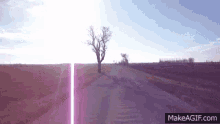 Outland Marshes GIF - Outland Marshes Lone Tree GIFs