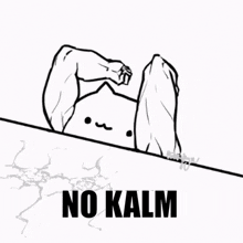No Kalm Cat GIF - No Kalm Cat GIFs