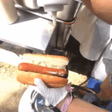 Sausage Bun GIF