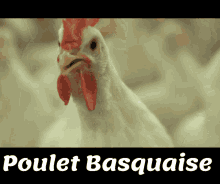 Poulet Basquaise Kabebaloo GIF - Poulet Basquaise Kabebaloo GIFs