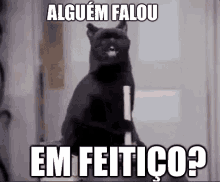 Feitiço / Bruxaria / Gato / Sabrina / Bruxa GIF - Sabrina Witch Cat GIFs
