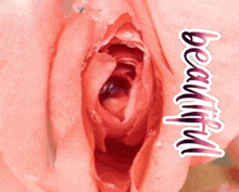 a close up of a woman 's vagina with the word beautiful on the bottom