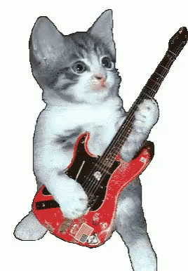"Guitar Cat GIF" – "Guitar Cat" – знаходьте анімації GIF і діліться ними