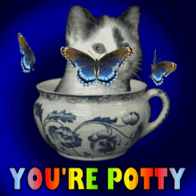 Youre Potty You Are Potty GIF - Youre Potty You Are Potty Youre Weird GIFs