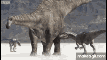 allosaurus beating sauropod animal go away