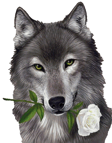 Wolf Rose Sticker - Wolf Rose Flower Stickers