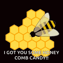 Honey Bee GIF - Honey Bee GIFs