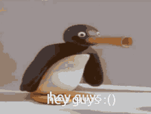Hey Guys Penguin GIF - Hey Guys Penguin Pog GIFs