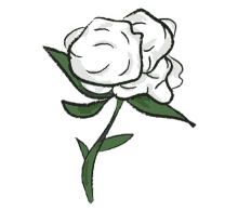 posh rose