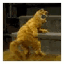 Garfield Dancing GIF - Garfield Dancing Butt Dance GIFs