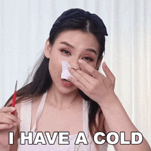 I Have A Cold Tina Yong GIF - I Have A Cold Tina Yong Im Sick GIFs