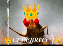 a fly with a crown on its head is next to a needle with the word celebrity below it
