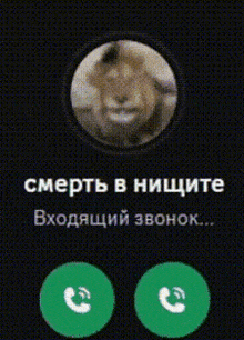a phone screen with a picture of a rabbit and the words " смерть в ницците "