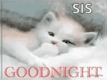 Good Night Cat GIF - Good Night Cat Sleepy GIFs