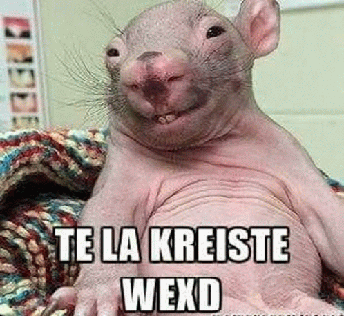 te-la-creiste-we-xd-te-la-kreiste-we-xd.gif