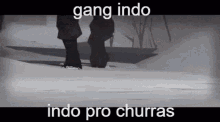 Gang Indo Shitpost Gang GIF