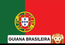 a monkey covering his face behind a guiana brasileira flag