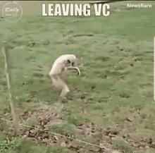 Leaving Vc Gibbon GIF - Leaving Vc Vc Gibbon GIFs