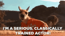 Kangaroo Jack Jackie Legs GIF - Kangaroo Jack Jackie Legs Im A Serious Classically Trained Actor GIFs