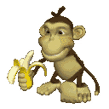 monkey banana