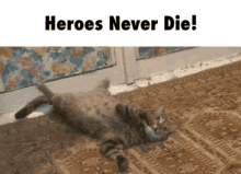 Kitty Heroes Never Die GIF - Kitty Heroes Never Die Cat GIFs