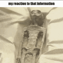 Alien My Reaction To That Information Mexico GIF - Alien My Reaction To That Information My Reaction My Reaction To That Information GIFs