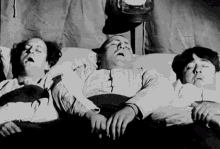 Three Stooges Sleeping GIF - Three Stooges Sleeping Curly GIFs