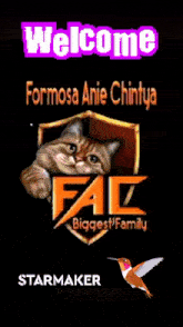 Aniecintiya Fac1 GIF - Aniecintiya Fac1 Fac GIFs