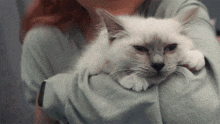 a woman is holding a cat in her arms and the cat is looking at the camera